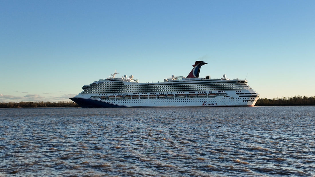 Set Sail for Success: Published Author Opportunities on Cruises