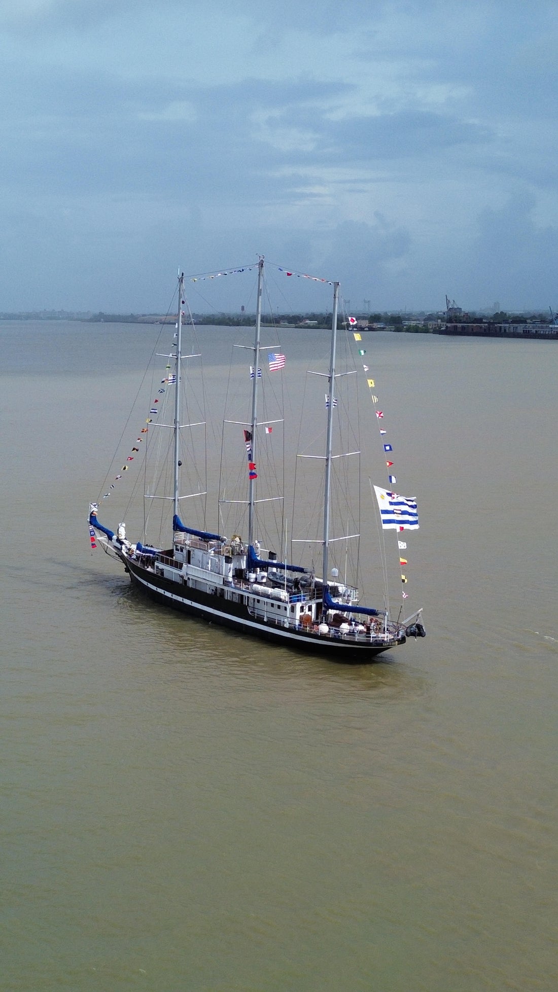 Sail250